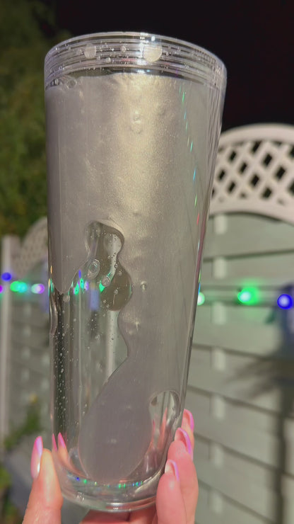 Snow Globe Tumbler Premium Combo Kit (2-in-1) – Limited Stock